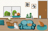 Cat Room